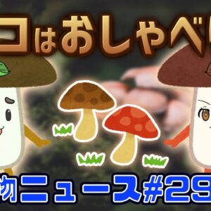 キノコは実はおしゃべり！？警官が○○で違法飼育に気付く？ペット探偵という仕事のハードな裏側【生き物ニュース#29】