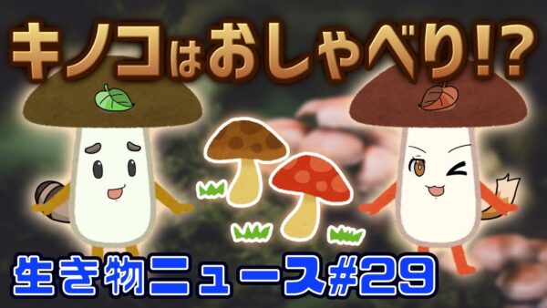 キノコは実はおしゃべり！？警官が○○で違法飼育に気付く？ペット探偵という仕事のハードな裏側【生き物ニュース#29】