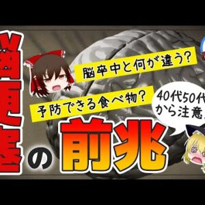 【ゆっくり解説】脳卒中と脳梗塞って何が違う？40代50代に危険な脳梗塞のサインとは