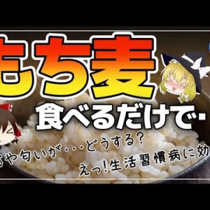 【ゆっくり解説】もち麦の効果…実は！？40代50代から気になる病気の件について