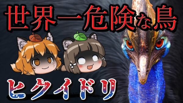 世界一危険な鳥！？ヒクイドリ【へんないきもの#80】