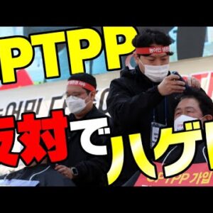 【ゆっくり解説】韓国、そもそもCPTPPに入れないのに反対デモを展開する