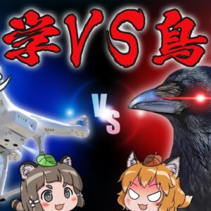 【科学VS鳥獣】ドローンVSカラスの空中決戦！人類は野生に打ち勝てるのか…