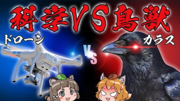 【科学VS鳥獣】ドローンVSカラスの空中決戦！人類は野生に打ち勝てるのか…