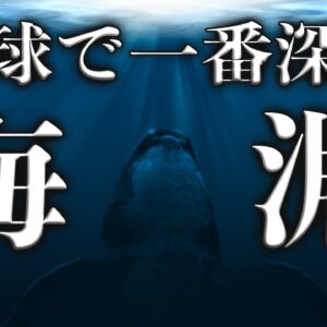 【深海】地球で一番深い場所「海淵」はどれだけ過酷なのか？