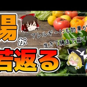 【ゆっくり解説】超簡単！もう老化しない！若返りだけじゃない！？アレルギーにも効果のある菌とは？