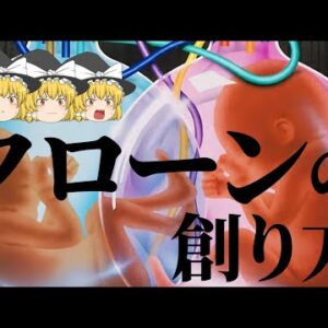 【ゆっくり解説】クローン作製は命の価値観を変えてしまう【生物学・倫理】