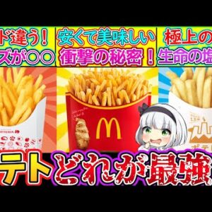 【ゆっくり解説】ハンバーガー店史上人気のポテトを比較したら衝撃の違いが⁉︎