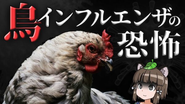 鳥インフルエンザの恐怖｜養鶏業を壊滅させるウイルスの正体