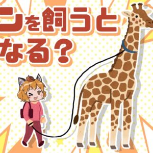 もしキリンを飼ったらどうなる？→頭上に雷が落ちます