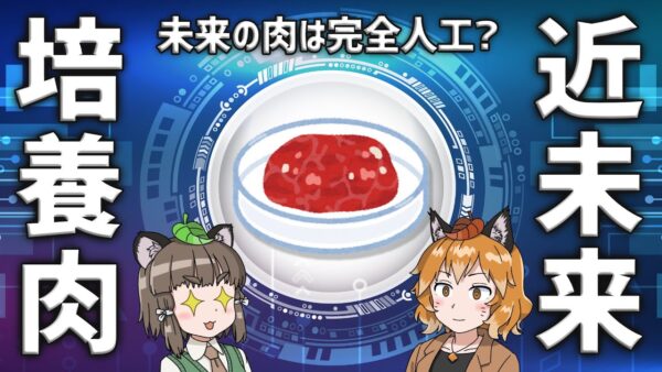 【培養肉】来たる肉の新時代！？未来の肉は全て人工へ…？