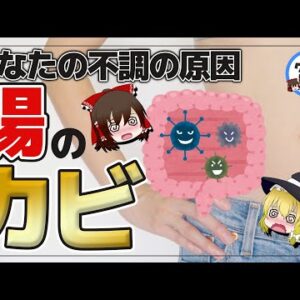 【ゆっくり解説】体内にカビが生えるヤバイ食品 食べすぎると腸内を壊す原因になる食べ物について