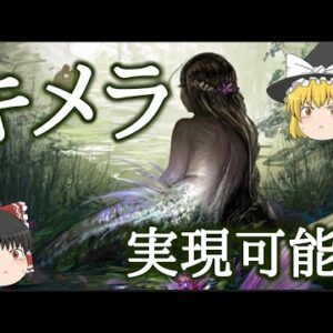 【ゆっくり解説】なぜ人と動物のキメラは作ってはいけないのか？【倫理】