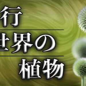 【平行植物】現代科学で解明できない奇妙な植物たち