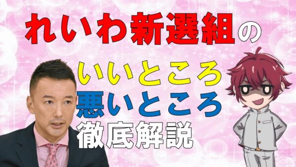 【ゆっくり解説】れいわ新選組の政策・党方針などを徹底解説