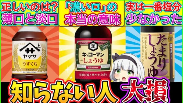 【ゆっくり解説】しょうゆ史上最大の謎！「濃口・淡口・たまり醤油の違い」解説！