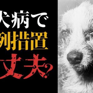 【狂犬病】検疫で避難民のペットに特例措置！？それってホントに大丈夫？
