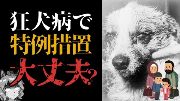 【狂犬病】検疫で避難民のペットに特例措置！？それってホントに大丈夫？