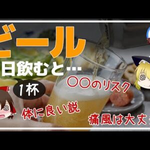 【ゆっくり解説】毎日ビール1杯飲み続けるとどうなる？痛風じゃない意外な効果がヤバイ！