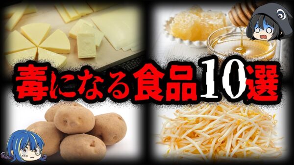 【ゆっくり解説】食べ方次第で○亡。毒になる危険な食べ物10選