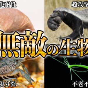 【最強】無敵すぎる能力を持った生き物10選【長寿】