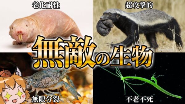 【最強】無敵すぎる能力を持った生き物10選【長寿】