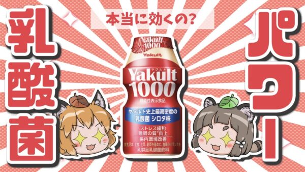 【乳酸菌】ヤクルト1000は本当に効果あるの？乳酸菌シロタ株のパワーに迫る！