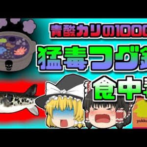 【1963年福岡】青酸カリの1000倍　相撲部屋で振舞われた「猛毒フグ鍋」【ゆっくり解説】