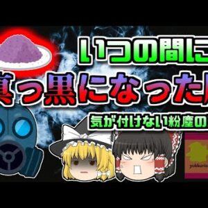 【1998年岩手】知らない間に真っ黒になっていた肺…その原因は現場の『粉』？【ゆっくり解説】