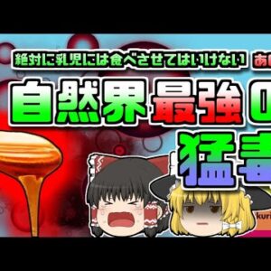 【2017年東京】自然界最強の猛毒 赤ちゃんには食べさせてはいけないアレ【ゆっくり解説】
