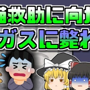 【2018年兵庫】猫を助けるために岩風呂に降りた男性 しかし突然苦しみだし...【ゆっくり解説】