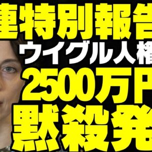 国連特別報告者、中国からの2500万円献金でウイグルの人権を売る【ゆっくり解説】