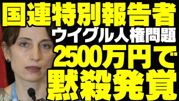 国連特別報告者、中国からの2500万円献金でウイグルの人権を売る【ゆっくり解説】