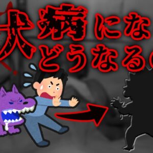 狂犬病になるとどうなるのか？｜予防ワクチン接種率70％の危険性…