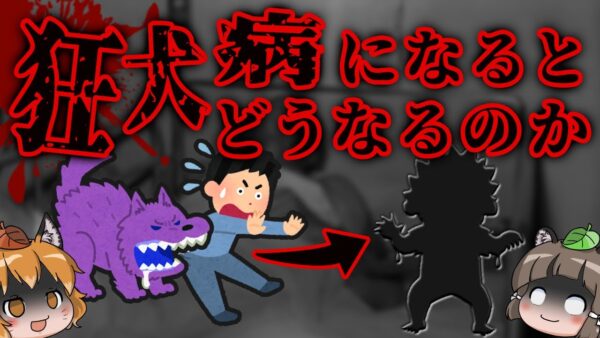 狂犬病になるとどうなるのか？｜予防ワクチン接種率70％の危険性…