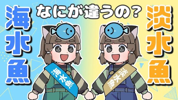 【漫画】海水魚と淡水魚って何が違うの？海と川の魚の違い【マンガ動画】