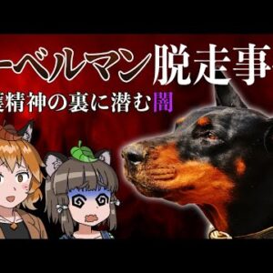【木更津】ドーベルマン脱走事件｜愛護精神の裏に潜む本当の問題