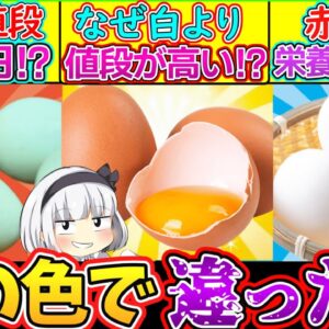 【ゆっくり解説】卵史上衝撃の違い！調理法で栄養素が大きく違っていた…⁉︎