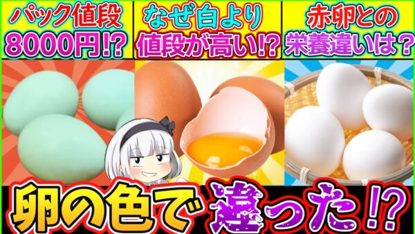 【ゆっくり解説】卵史上衝撃の違い！調理法で栄養素が大きく違っていた…⁉︎