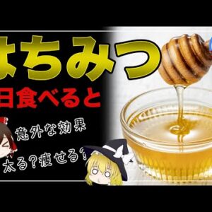 【ゆっくり解説】はちみつを毎日食べると…太るはウソ？意外に知らない栄養価！蜂蜜の効果について