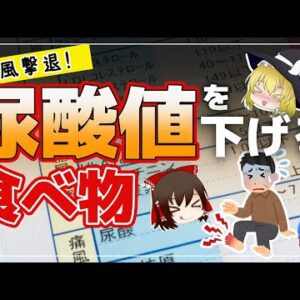 【ゆっくり解説】尿酸値を下げる痛風にらない食べ物とは？毎日プリン体を食べると結果について