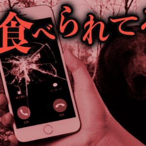 「今クマが私を食べてるの！」電話で母親に実況し続けた娘【ペトロパブロフスク羆事件】