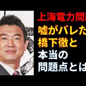 【ゆっくり解説】橋下徹の嘘と上海電力問題の本質とは？