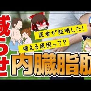 【ゆっくり解説】メタボ解消！医者が証明した内臓脂肪を減らす方法とは！？