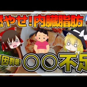 【ゆっくり解説】痩せない原因が判明！実は○○不足！内臓脂肪が燃えない理由とは