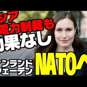 ロシア、フィンランドに制裁するも全く効果なし【ゆっくり解説】