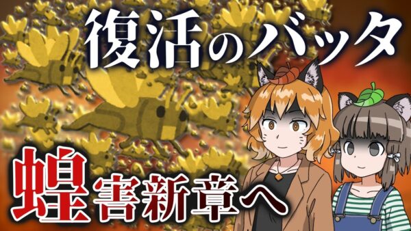 【蝗害】バッタの大量発生は新章へ！？再びアフリカ大陸に迫る脅威