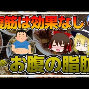 【ゆっくり解説】腹筋してもお腹の脂肪が減らない！間違ったダイエットしていない？効果的に脂肪燃焼する方法とは