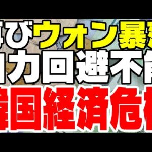 韓国経済、軽々1ドル1290ウォン再び、パーフェクトストーム秒読み【ゆっくり解説】