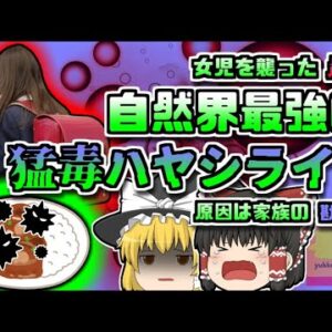 【1999年千葉】女児を襲った地獄の日々 「自然界最強の毒入りハヤシライス」を食べてしまい食中毒に...【ゆっくり解説】